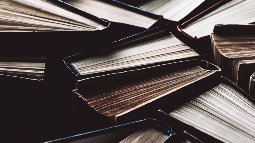 Sprawdzone domowe sposoby na pozbycie się moli!