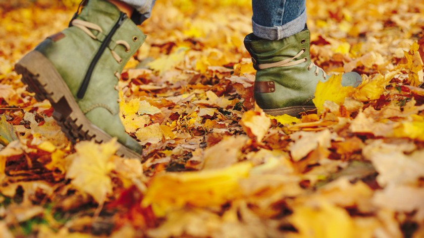 Jakie buty wybrać na jesień dla dziecka?